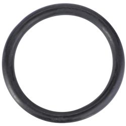 O-RING 3019455X1