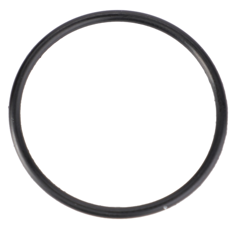 O-RING 70923989