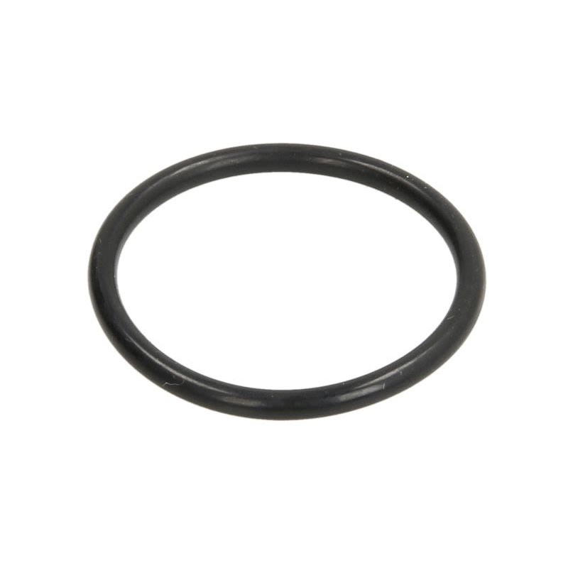 Oring skrzyni biegów ZF 0634306238ZF