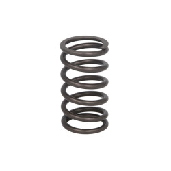 Sprężyna zaworu IPD PARTS 4W2471-IPD