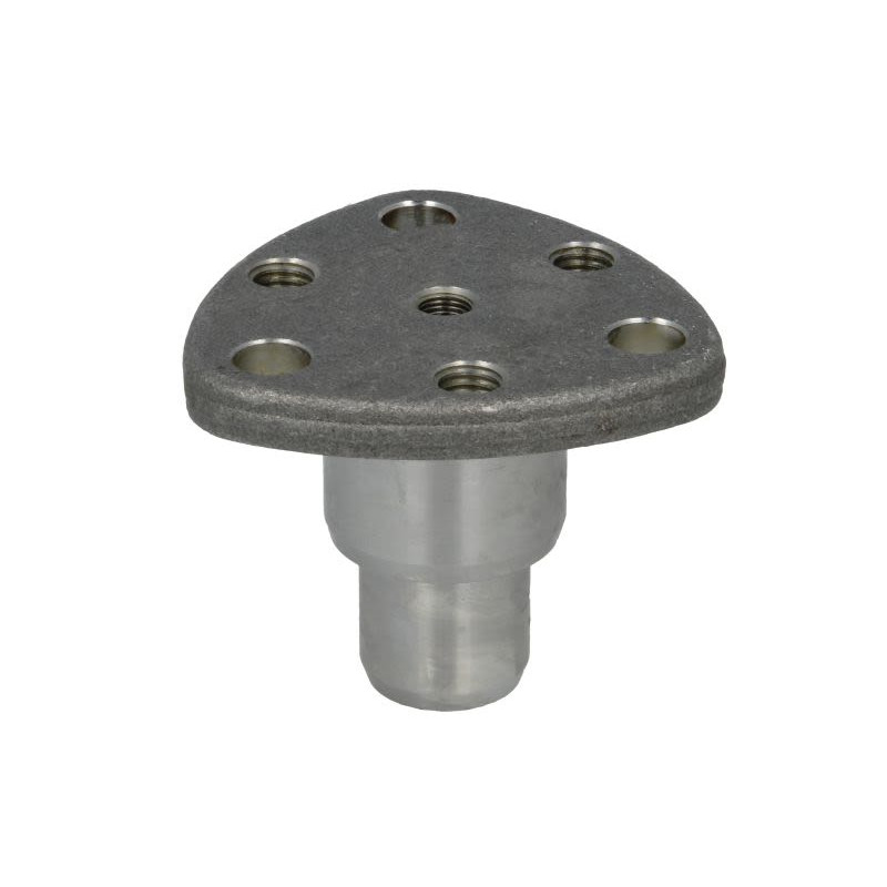 Sworzeń zwrotnicy CARRARO 535861-CR