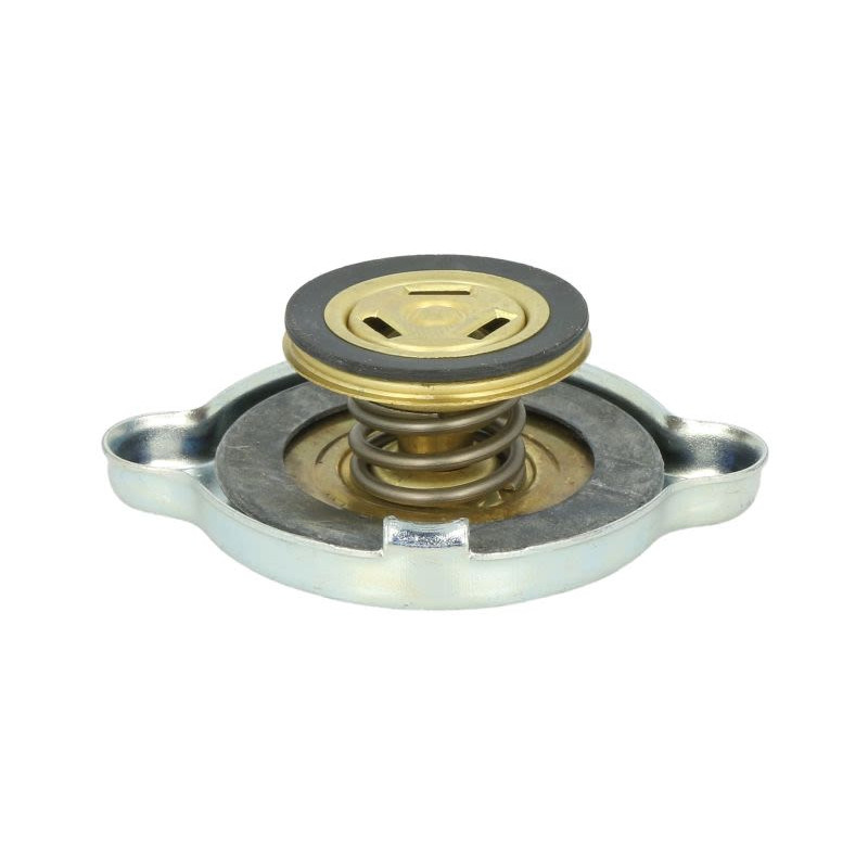 Korek chłodnicy FEBI BILSTEIN FE04496