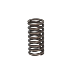 Sprężyna zaworu FP DIESEL 2941688-FP