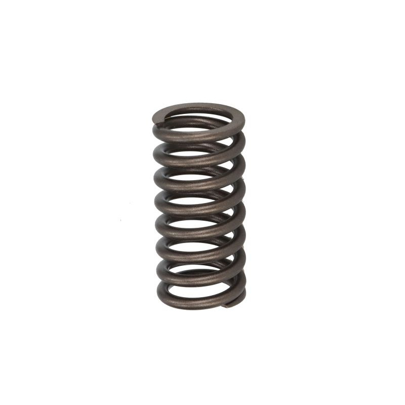 Sprężyna zaworu FP DIESEL 2941688-FP