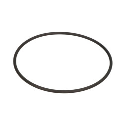 Oring skrzyni biegów ZF 0634304195ZF