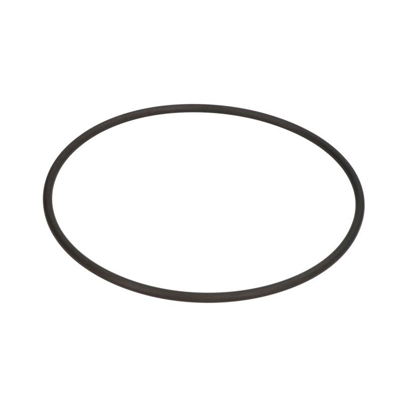 Oring skrzyni biegów ZF 0634304195ZF