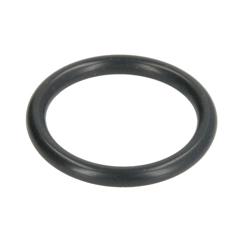 Oring skrzyni biegów ZF 0634306213ZF