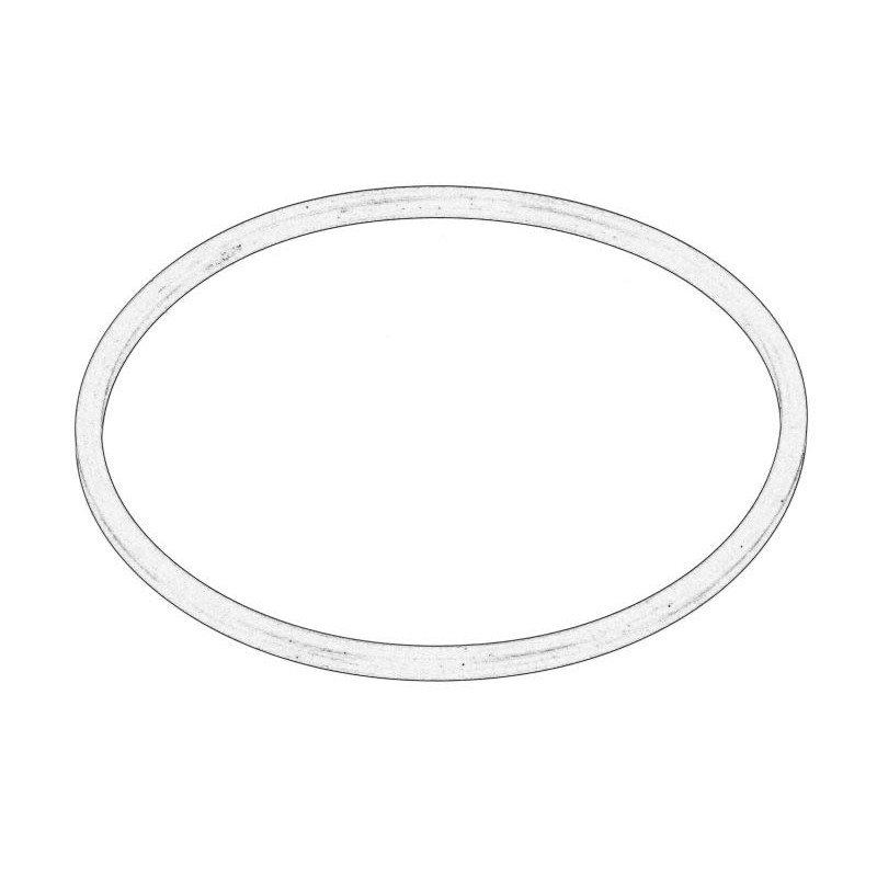 Oring skrzyni biegów OE AGCO 3713178M1-MF