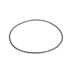 Oring skrzyni biegów ZF 0634313972ZF