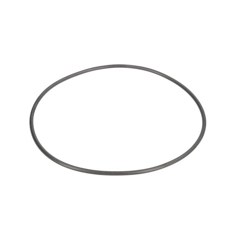 Oring skrzyni biegów ZF 0634313972ZF