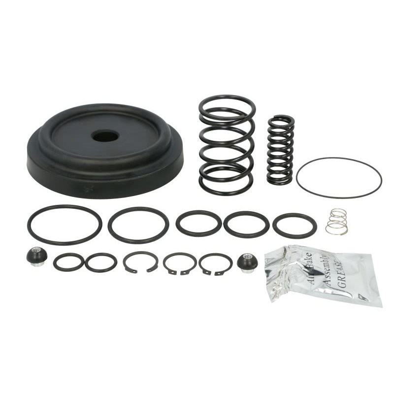 Zestaw naprawczy zaworu powietrza PNEUMATICS PN-R0084