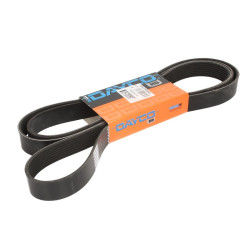 Pasek wielorowkowy DAYCO DAY8PK2509HD