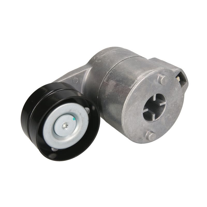 Napinacz paska wielorowkowego BTA B05-AG-014