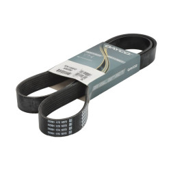 Pasek wielorowkowy DAYCO DAY8PK1500HD