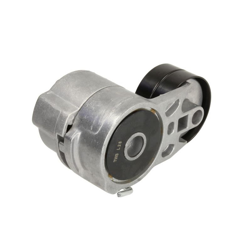 Napinacz paska wielorowkowego BTA B05-AG-106