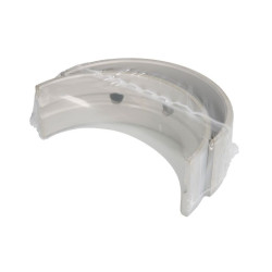 Panewki wału korbowego IPD PARTS 4W5698-IPD