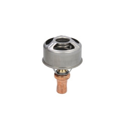 Termostat cieczy chłodzącej CALORSTAT BY VERNET TH4495.86