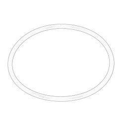 Oring skrzyni biegów OE AGCO 1009659M1-MF