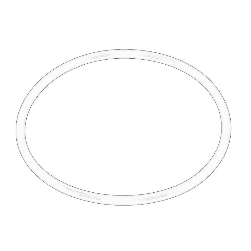 Oring skrzyni biegów OE AGCO 1009659M1-MF