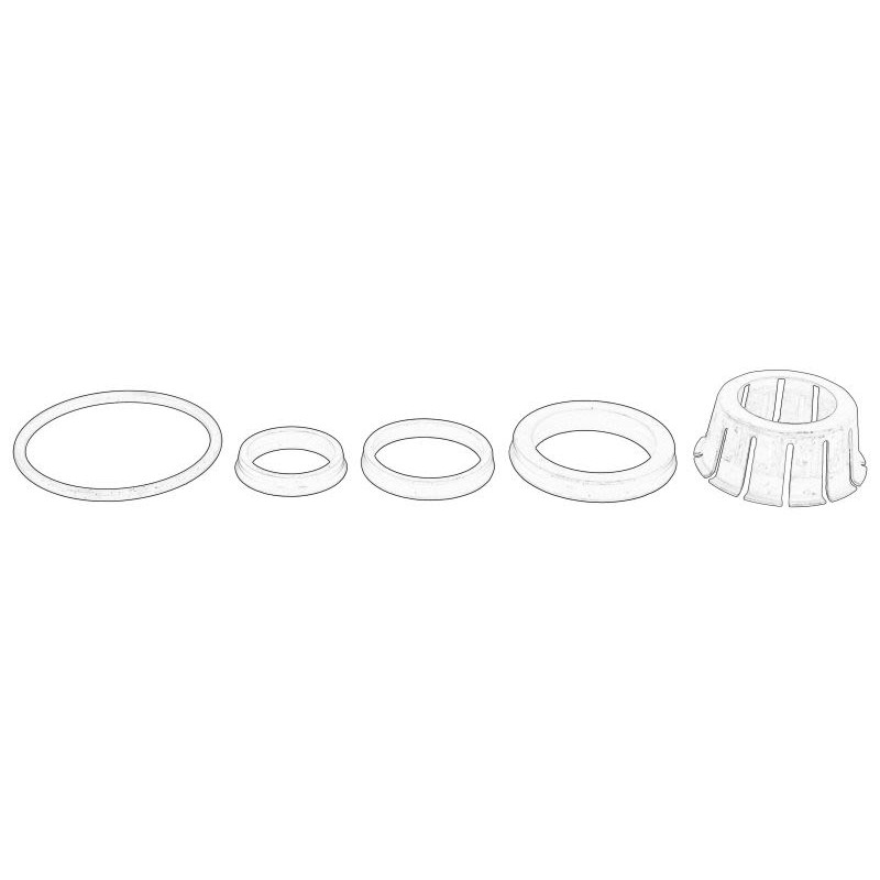 Zestaw naprawczy cylinderka hamulcowego OE AGCO F198104070110-AGCO