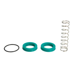 Zestaw naprawczy cylinderka hamulcowego SBP 12-AG015