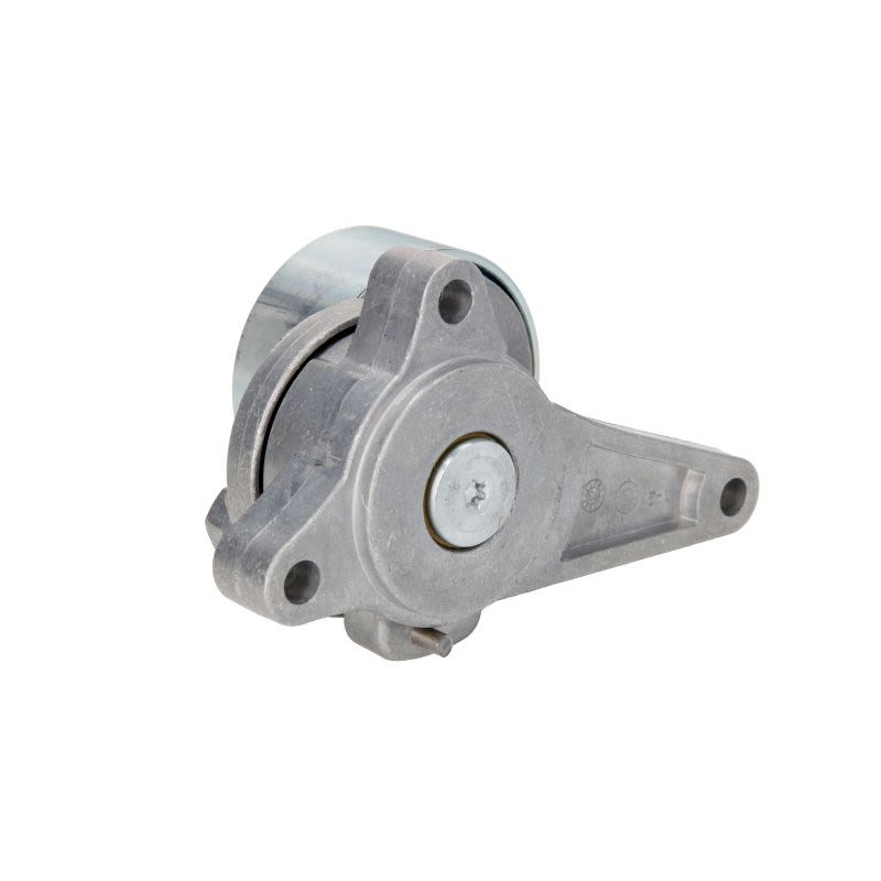 Napinacz paska wielorowkowego BTA B05-01-056
