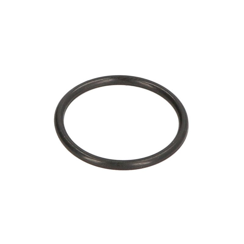 Oring skrzyni biegów ZF 0634306200ZF