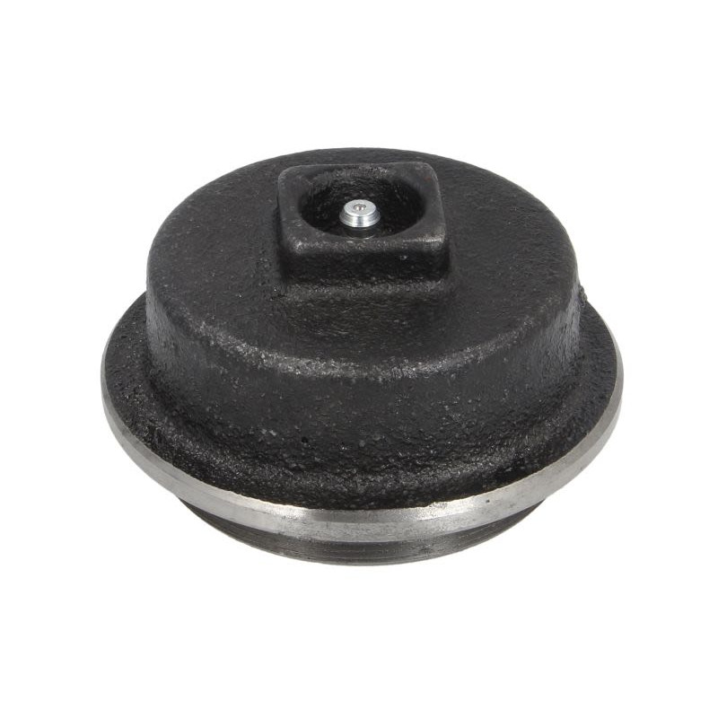 Pokrywa piasty BTA B06-2165