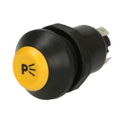 Włącznik świateł PNEUTRON 11130030AX