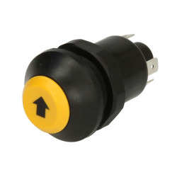 Przełącznik przyciskowy PNEUTRON 11245220XX