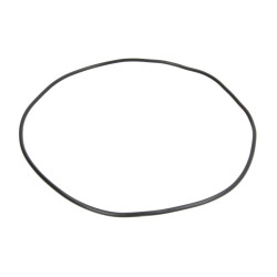 Oring skrzyni biegów ZF 0634313999ZF