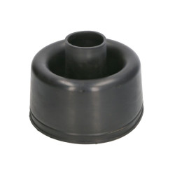 Element mostu DANA SPICER 970.24.001.05-DS