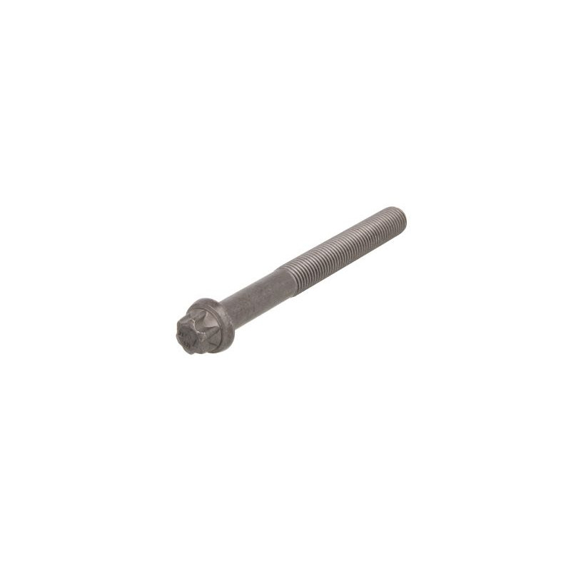 Śruba głowicy cylindrów FEBI BILSTEIN FE11725