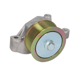 Napinacz paska wielorowkowego ANAC MAKINA 320-08588-AN