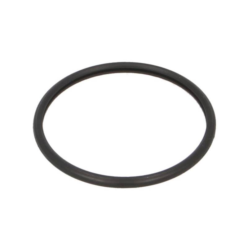 Uszczelka termostatu MAHLE C31858