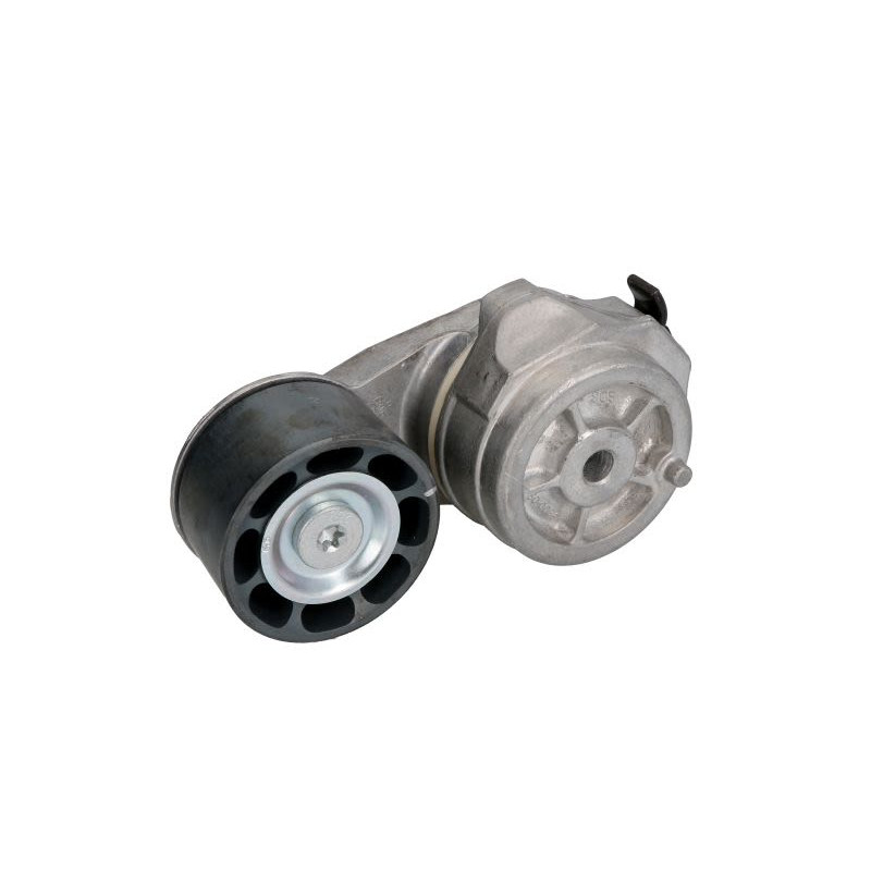 Napinacz paska wielorowkowego DAYCO DAYAPV2418