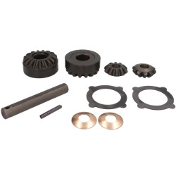 Zestaw naprawczy mechanizmu różnicowego CARRARO 66353-CR