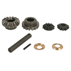 Zestaw naprawczy mechanizmu różnicowego CARRARO 66282-CR