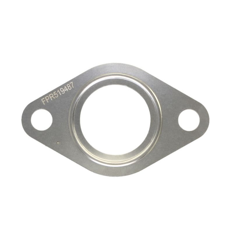 Uszczelka zaworu EGR FP DIESEL R519487-FP