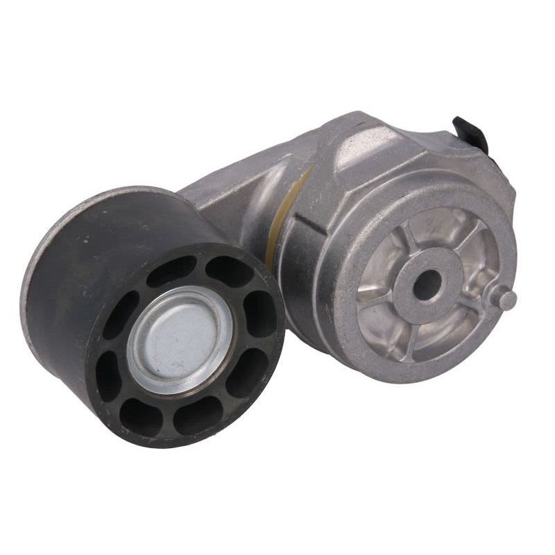 Napinacz paska wielorowkowego BTA B05-AG-170