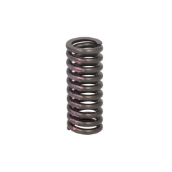 Sprężyna zaworu IPD PARTS 7C4273-IPD
