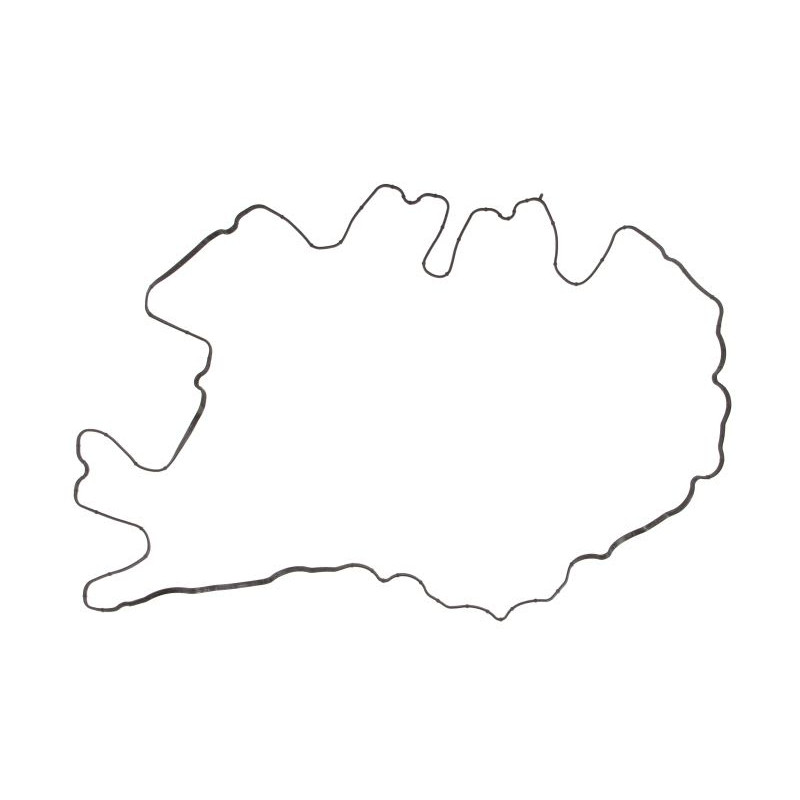 Uszczelka pokrywy zaworów REINZ 71-38971-00