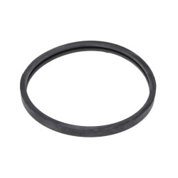 Uszczelka termostatu SRP 20459961-SRP
