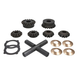 Zestaw naprawczy mechanizmu różnicowego CARRARO 66572-CR