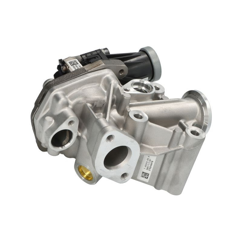 Zawór EGR FPT 5801717197-FPT