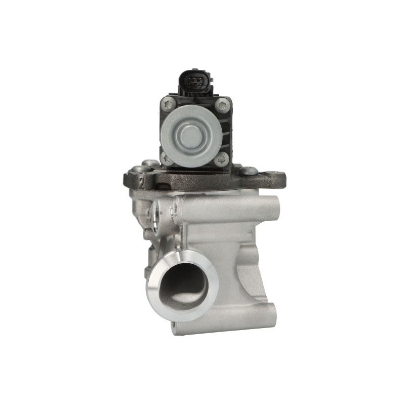 Zawór EGR FPT 5801717197-FPT