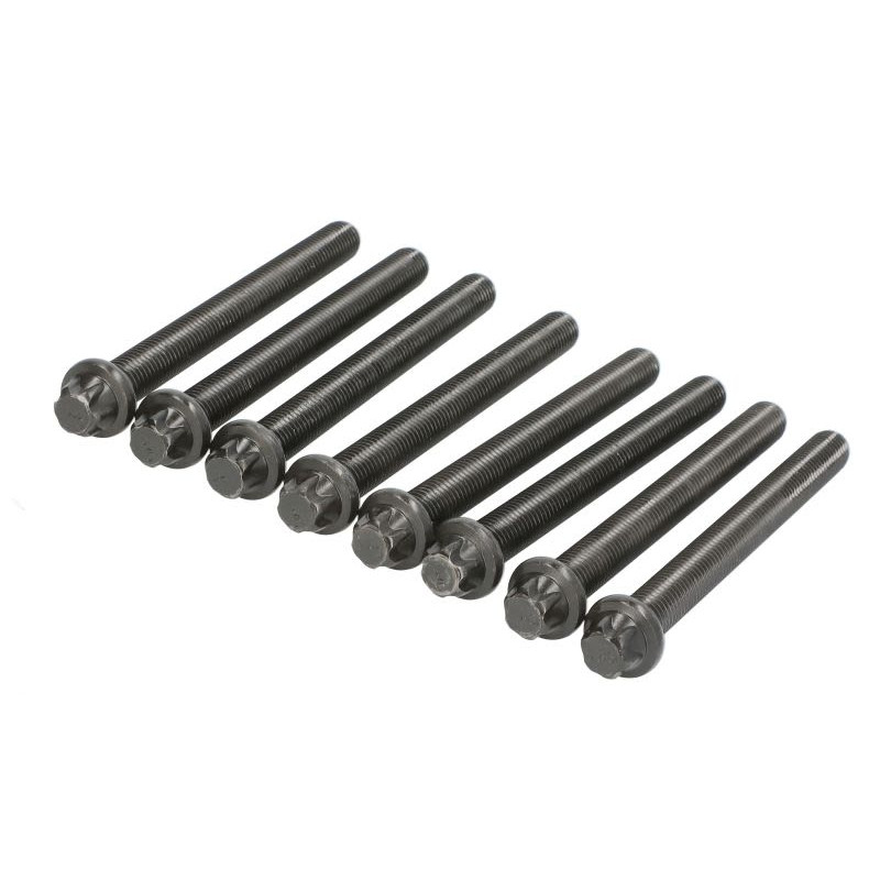 Zestaw śrub głowicy cylindrów REINZ 14-32252-02