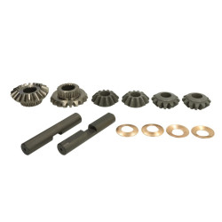 Zestaw naprawczy mostu CARRARO 66145-CR