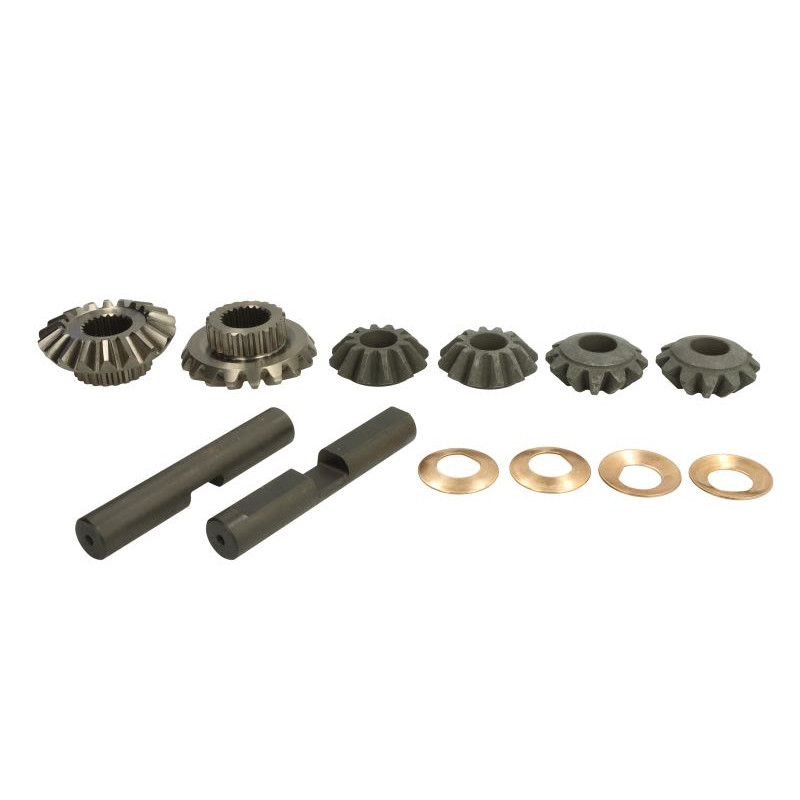 Zestaw naprawczy mostu CARRARO 66145-CR
