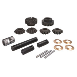 Zestaw naprawczy mechanizmu różnicowego CARRARO 66295-CR